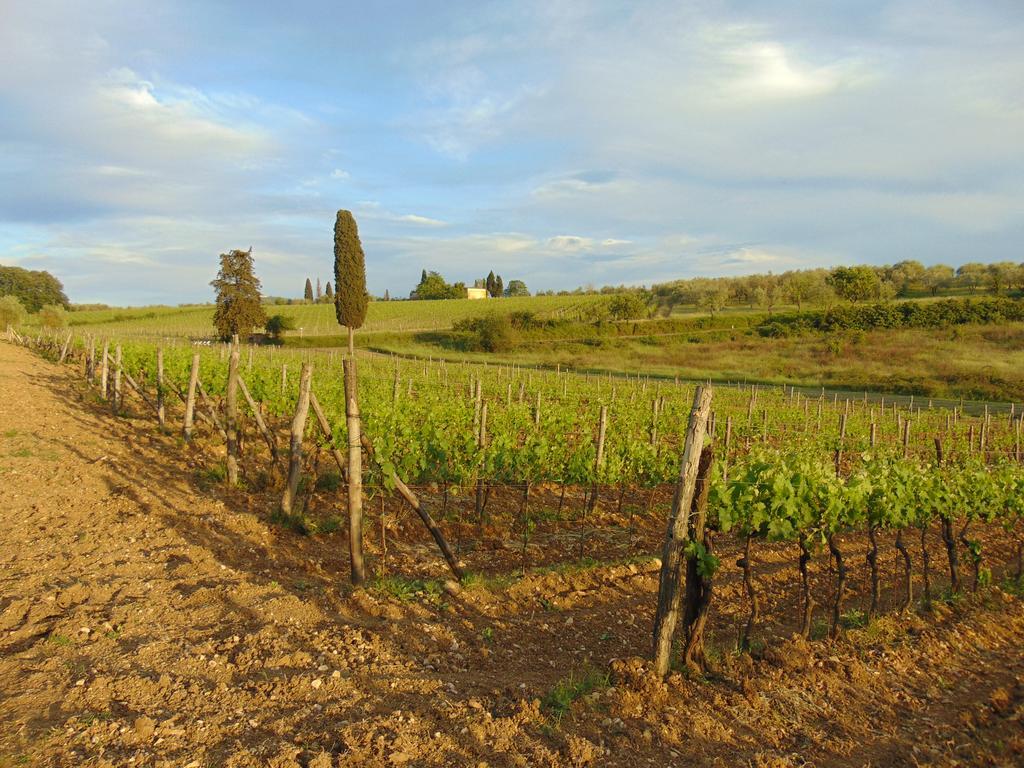 Agriturismo Circugnano Grassina Exteriör bild